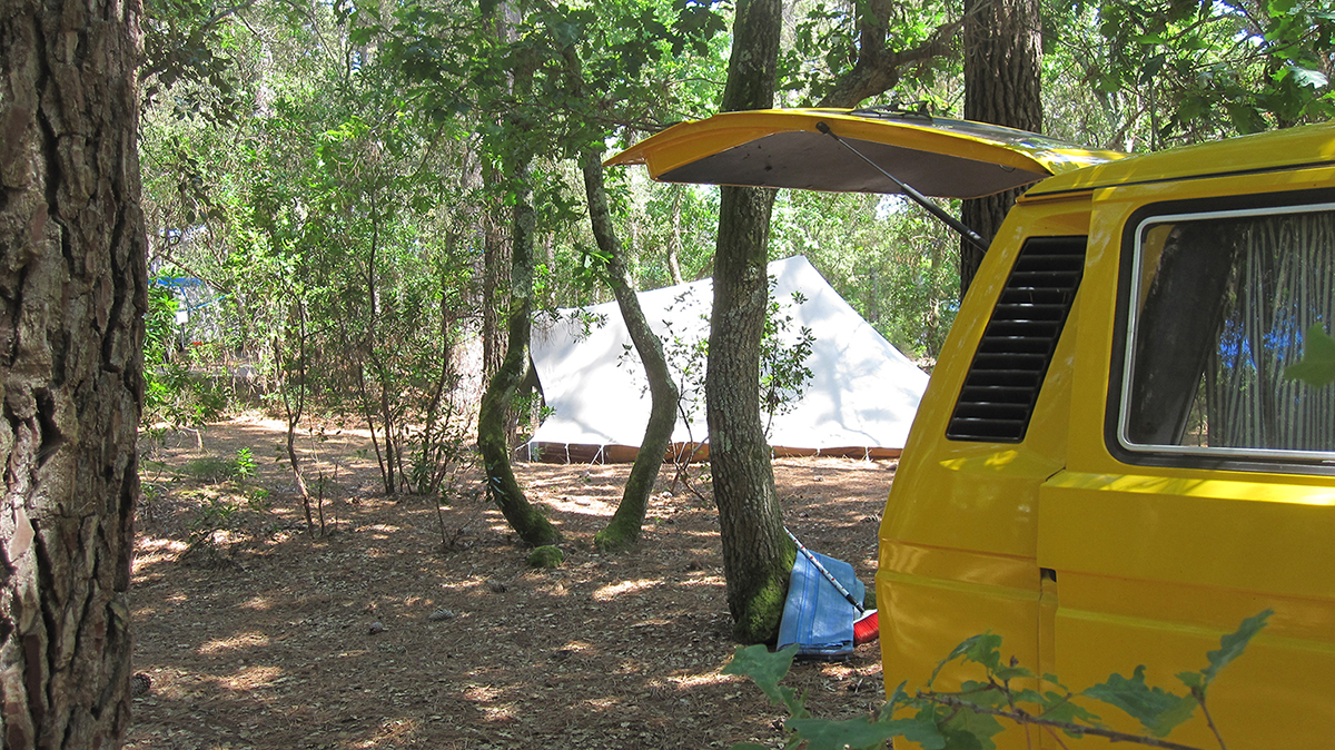 Wolkswagen camping car van lacanau nature foret