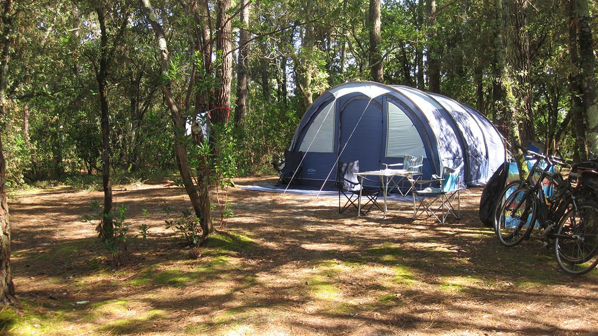 Camping lacanau nature forêt