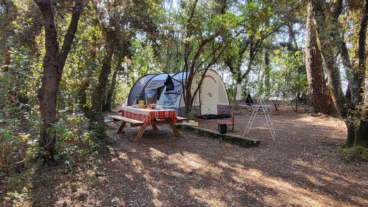 Camping lacanau nature forêt