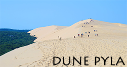 Camping à la Dune du Pyla Dune du Pilat
